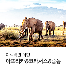 [기획전] 아프리카 중동 코카서스