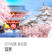 [기획전] 일본 인기상품 총집합