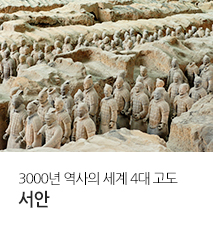 [홈쇼핑] 서안 홈쇼핑 기획전