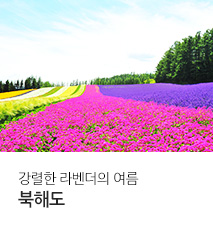 [홈쇼핑] 북해도 NS홈쇼핑 기획전