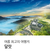 [기획전] 달랏 전세기 2025