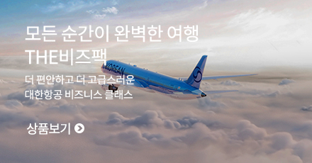 대한항공 비즈니스 클래스