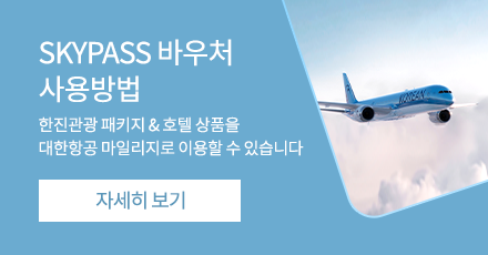 SKYPASS 바우처 사용방법