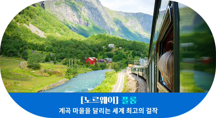 [노르웨이] 플롬