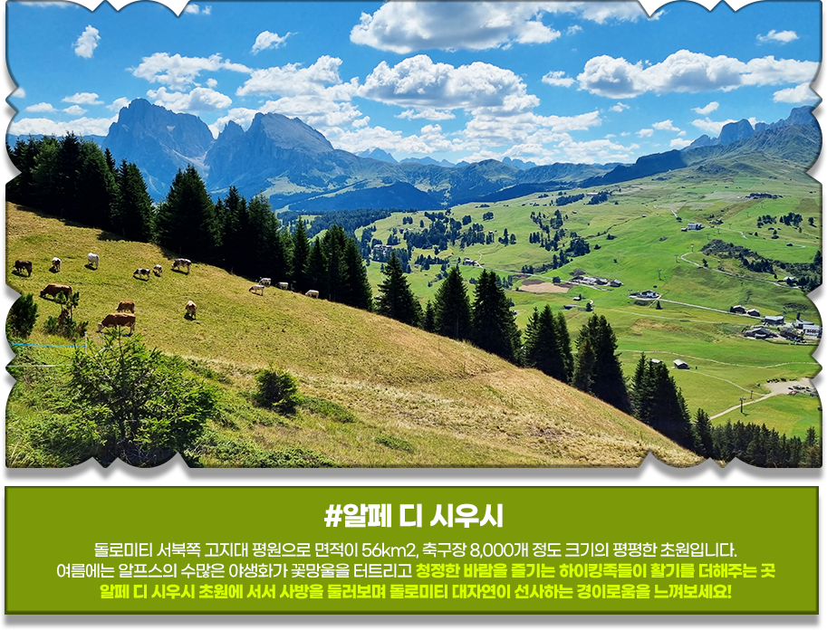 알페 디 시우시